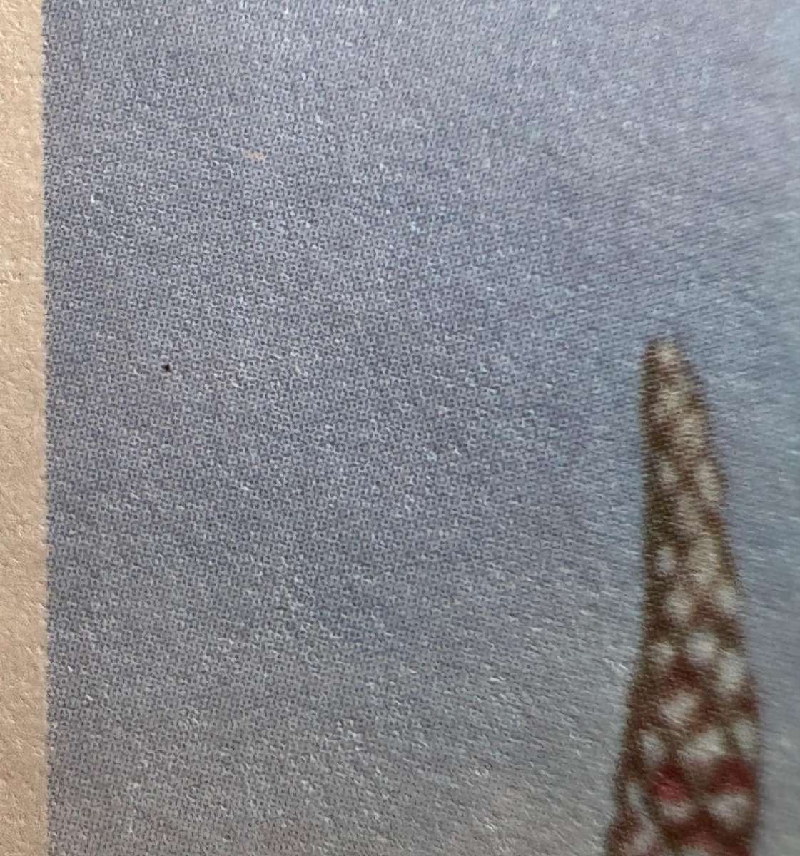 SWA COVER PRINT ERRORS