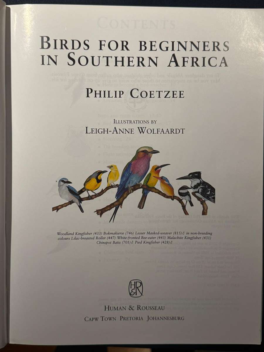 Birds for Beginners in Southern Africa