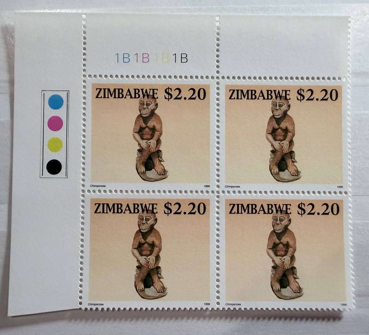 Zimbabwe Control Block