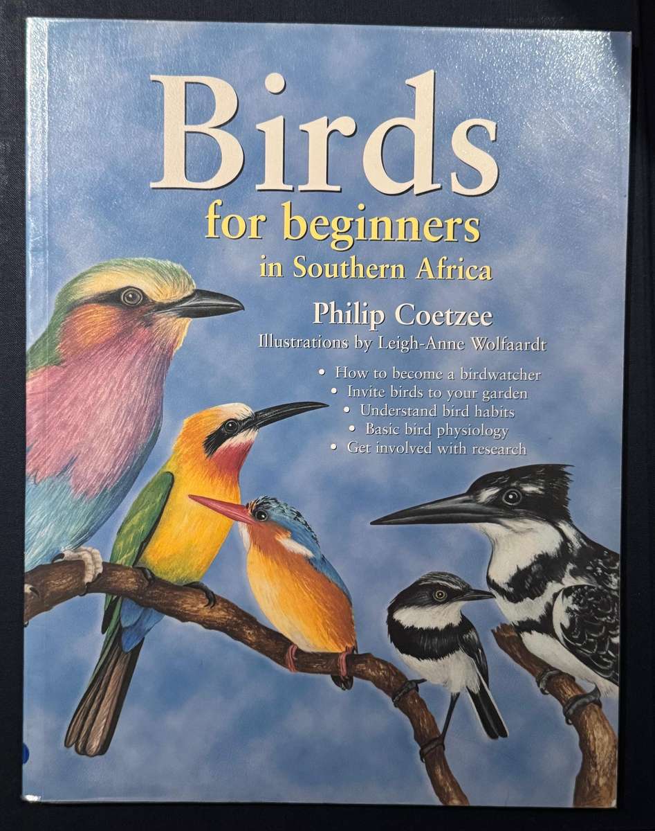 Birds for Beginners in Southern Africa