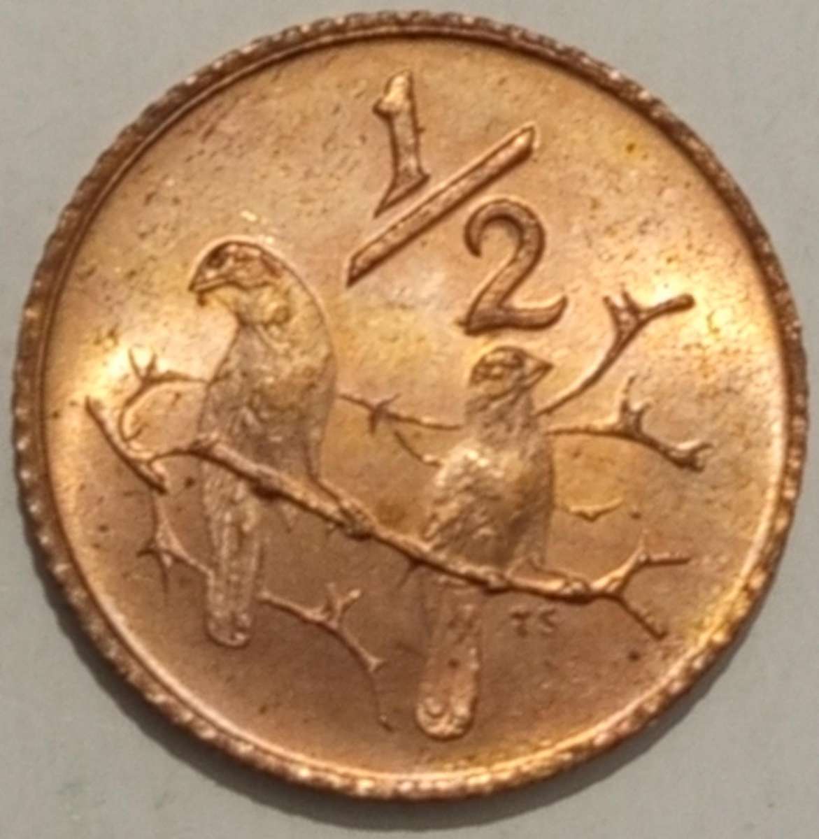 1970 HALF CENT