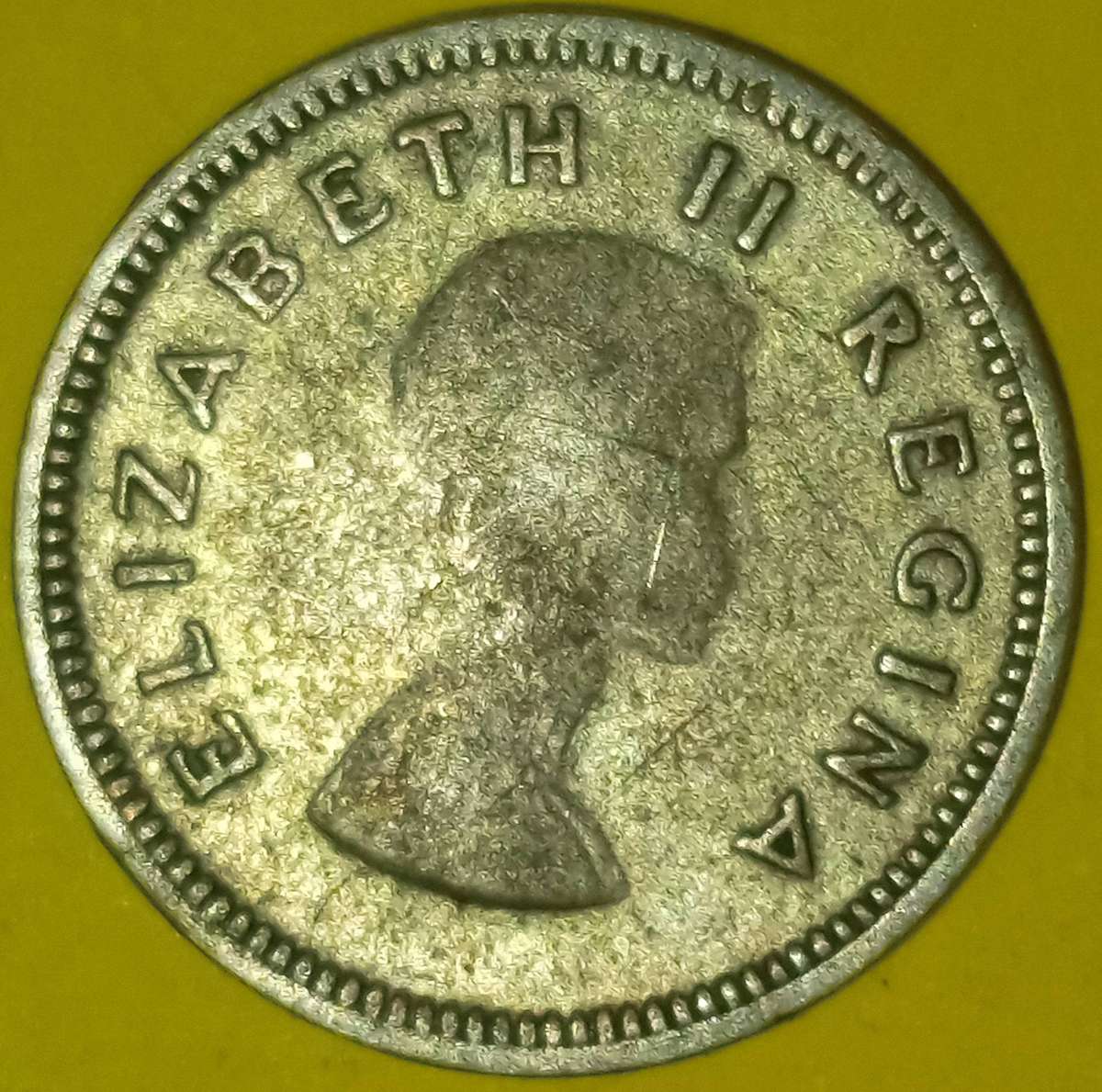 1954 SA UNION TICKEY 3d