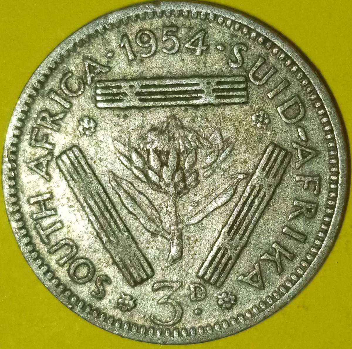 1954 SA UNION TICKEY 3d