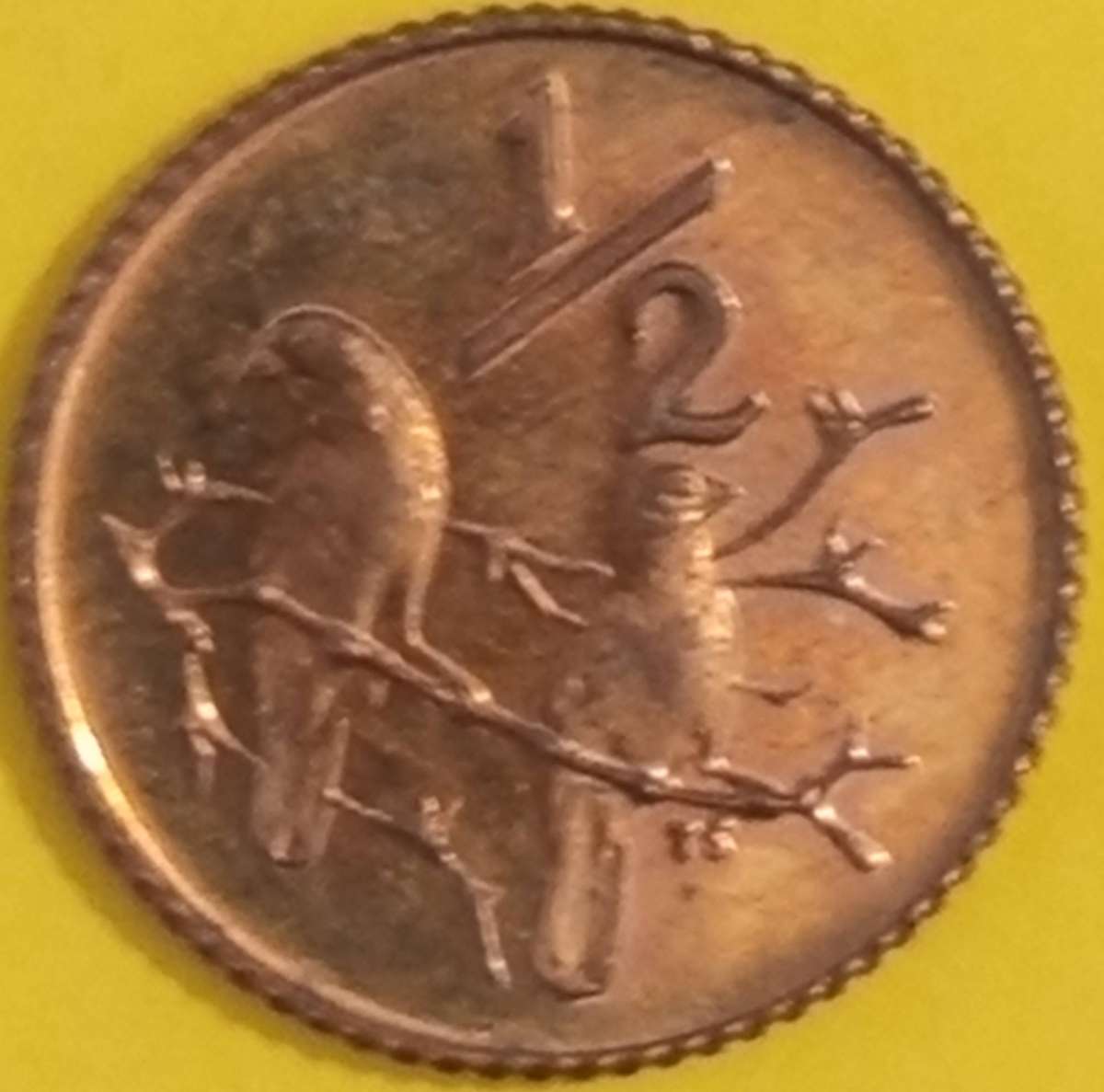 1981 HALF CENT