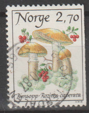 NORWAY 1987 Edible Mushrooms UNH SG 1005