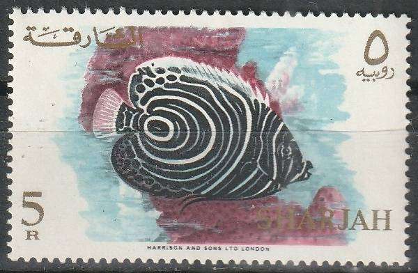 THEMATIC FISH SHARJAH UMM