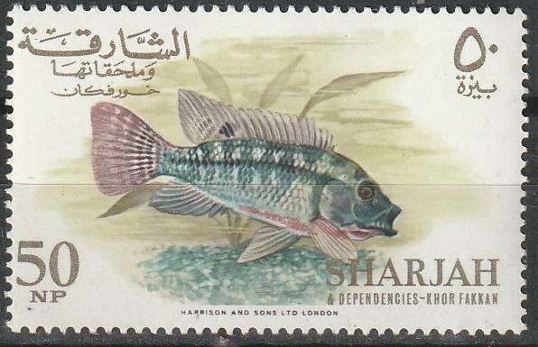 THEMATIC FISH SHARJAH UMM