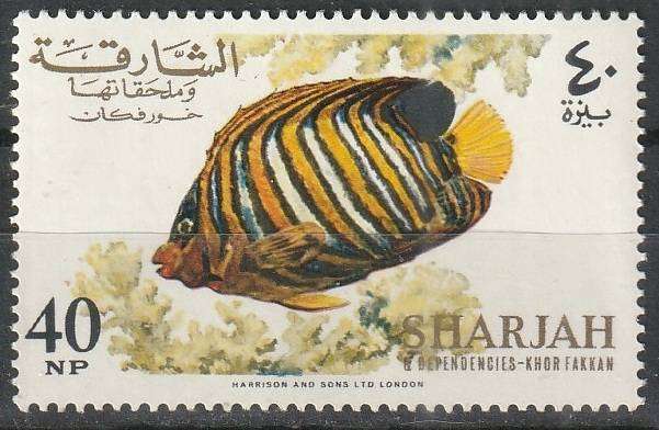 THEMATIC FISH SHARJAH UMM