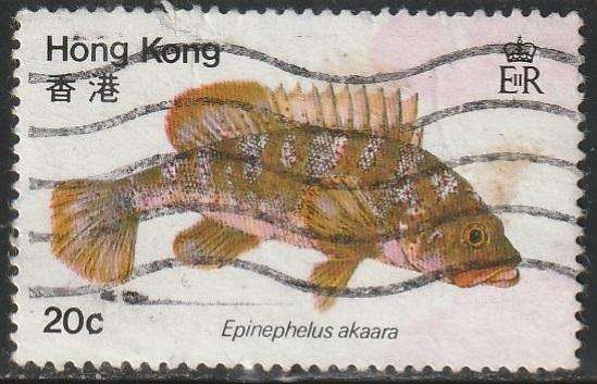 THEMATIC FISH HONG KONG ULH