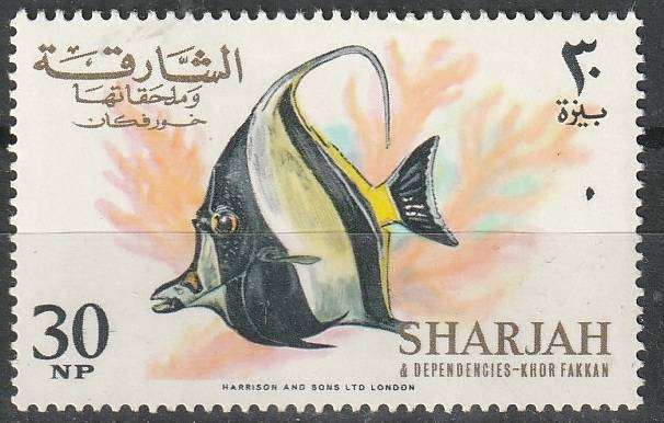 THEMATIC FISH SHARJAH UMM