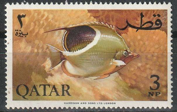 THEMATIC FISH QATAR UMM