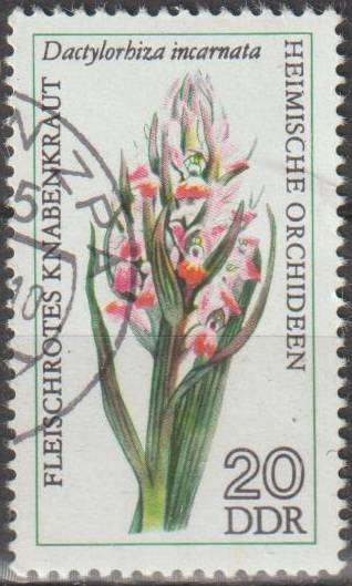 DDR 1976 Museum Pieces ULH SG E1851