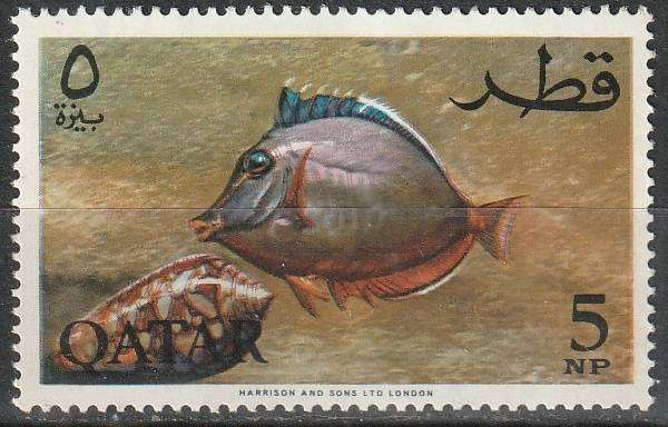 THEMATIC FISH QATAR UMM