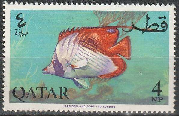 THEMATIC FISH QATAR UMM