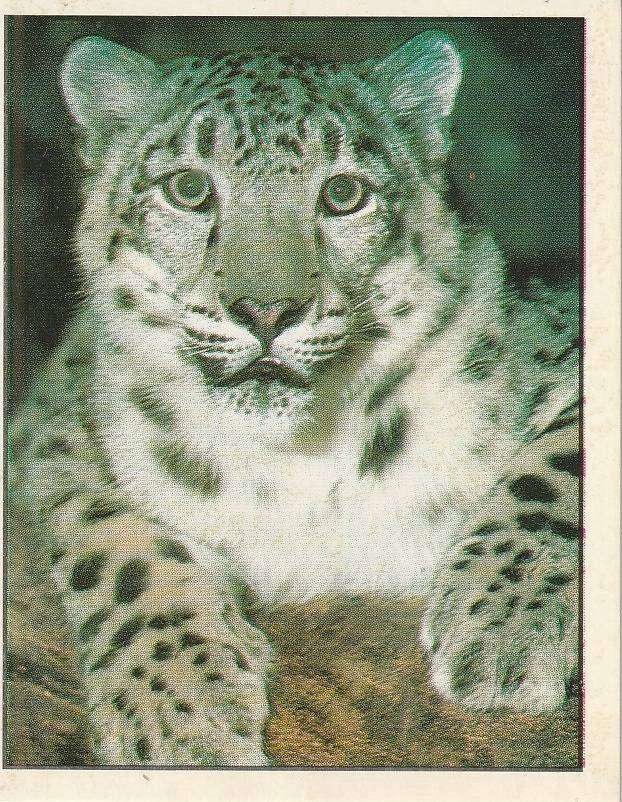 PANINI ANIMALS OF THE WORLD STICKER #120
