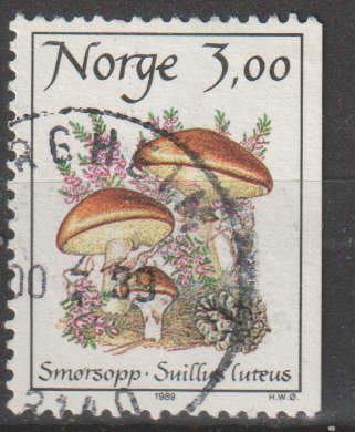 NORWAY 1989 Edible mushrooms UNH SG 1053
