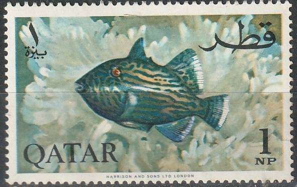 THEMATIC FISH QATAR UMM