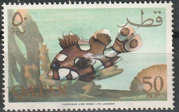 THEMATIC FISH QATAR UMM