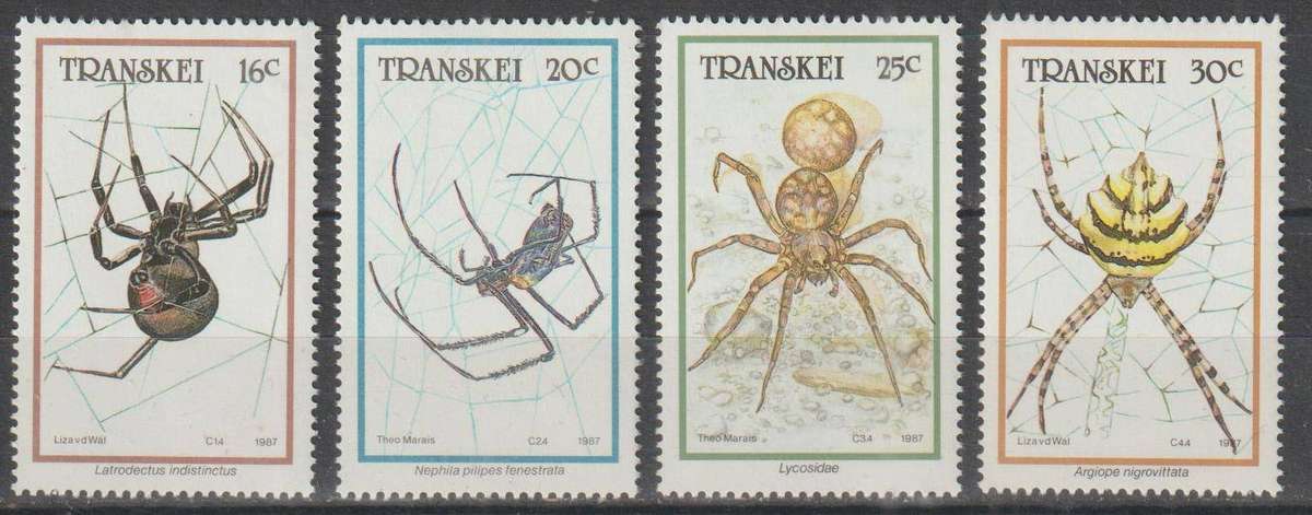 TRANSKEI 1987 Spiders UMM