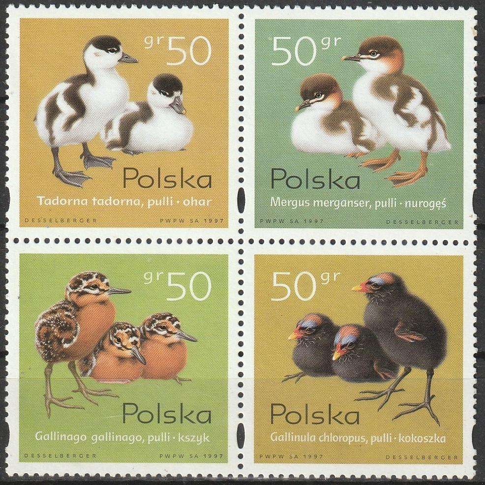 POLAND 1997 Young Waterbirds UMM SG 3720-3