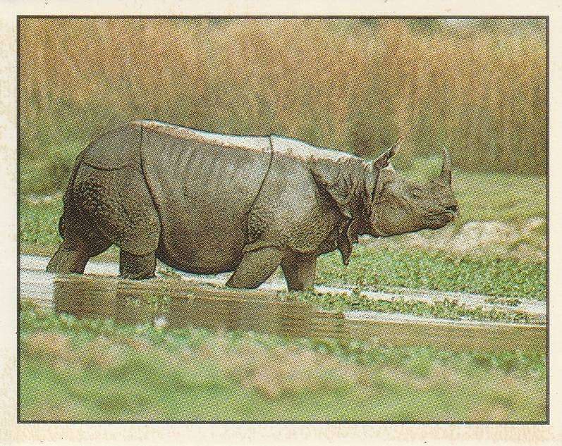 PANINI ANIMALS OF THE WORLD STICKER #135