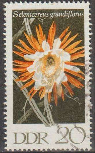 THEMATIC FLOWERS DDR ULH