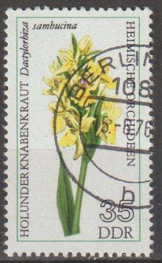 THEMATIC FLOWERS DDR ULH