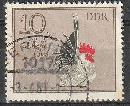THEMATIC BIRDS DDR ULH