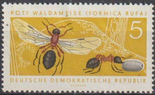DDR 1962 Protected Animals MM SG E608