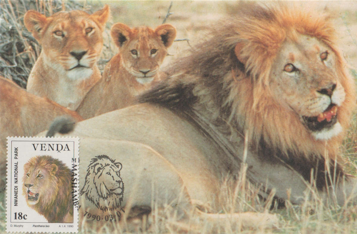 MINT VENDA POST CARD/MAXI CARD