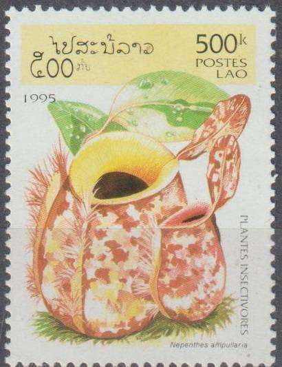 THEMATIC FLORA STAMP UMM