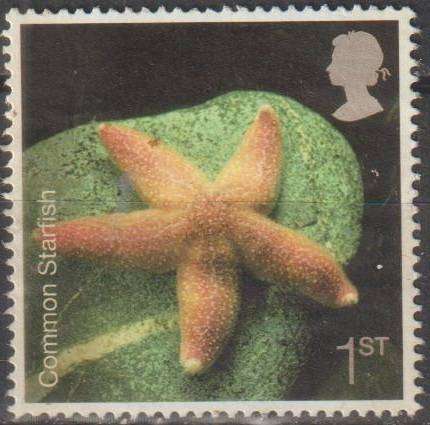 GB 2007 Sealife ULH SG 2700