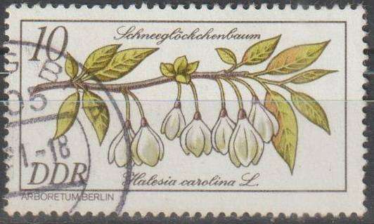 DDR 1981 Rare Flora ULH SG E2289