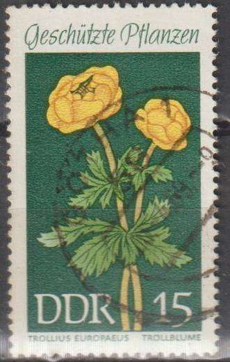 THEMATIC FLOWERS DDR ULH