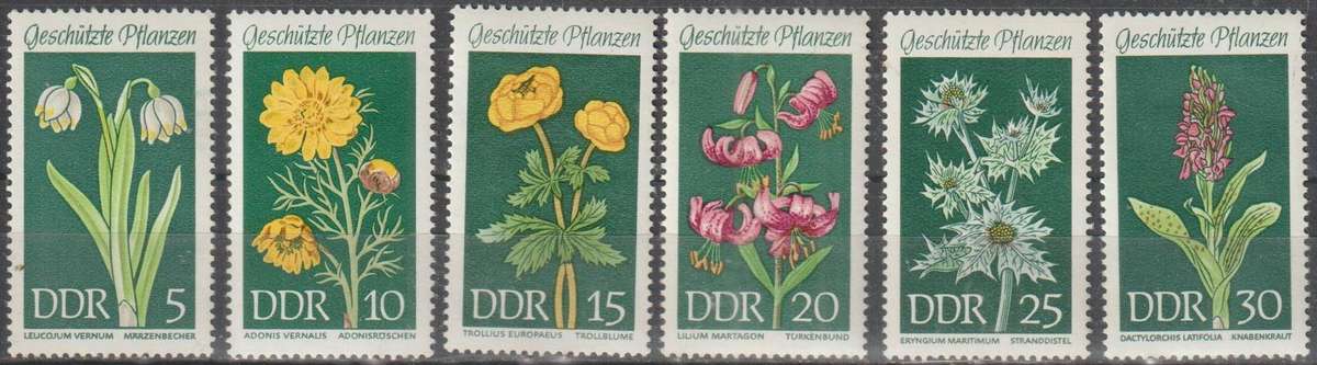 DDR 1969 Protected Plants UMM SG E1171-6