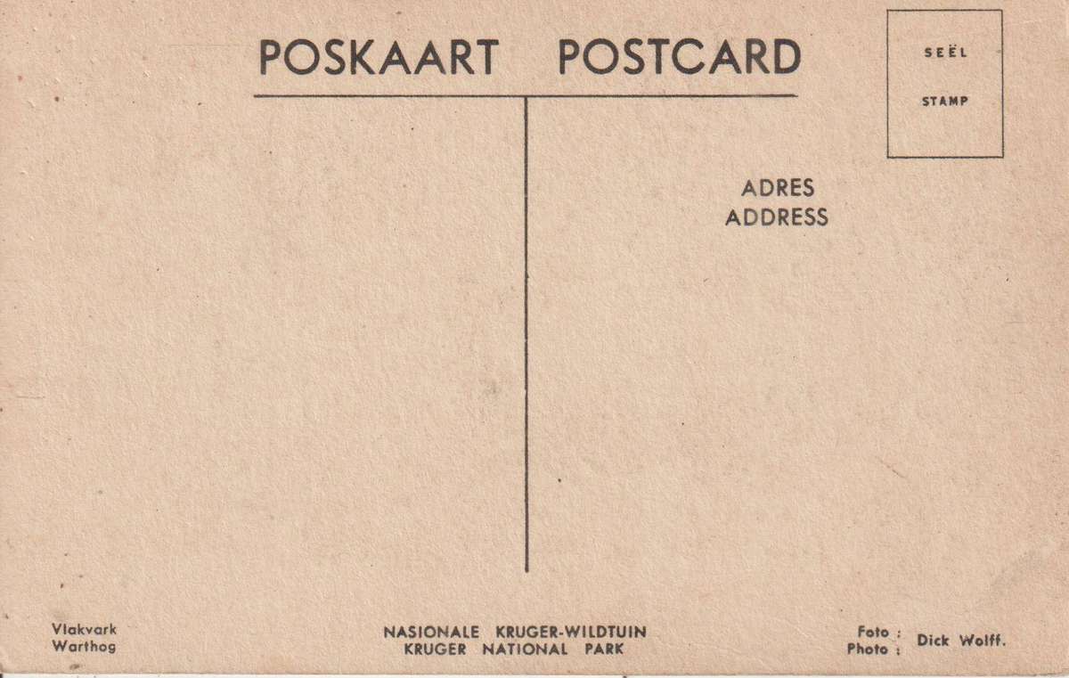 RSA VINTAGE POST CARD KRUGER NATIONAL PARK