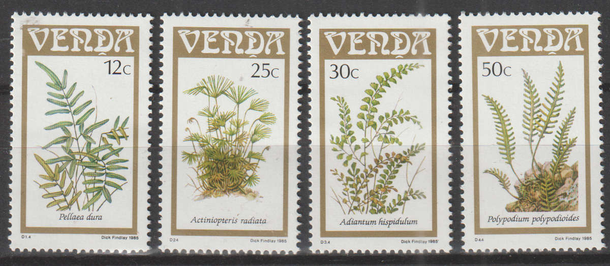 VENDA 1985 Ferns UMM