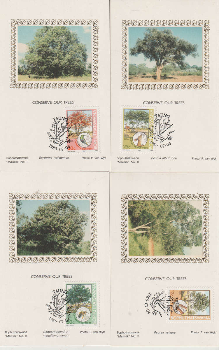 Bophuthatswana SILK 1985 Tree Conservation   MAXI CARD POST CARD SET