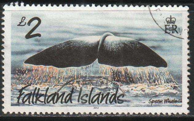 THEMATIC MARINE LIFE FALKLAND ISLANDS UNH