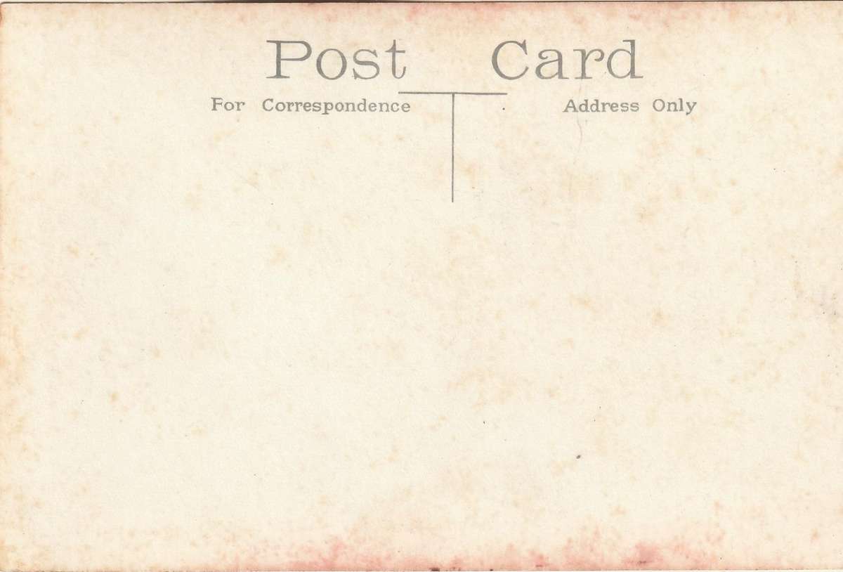 MINT POST CARD EGYPT