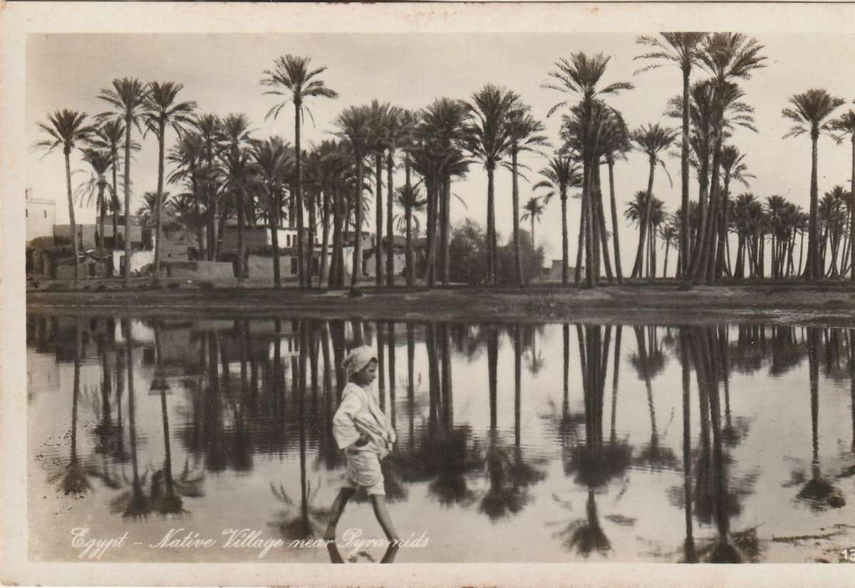 MINT POST CARD EGYPT