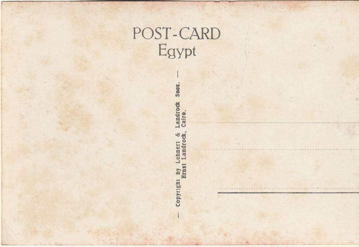 MINT POST CARD EGYPT