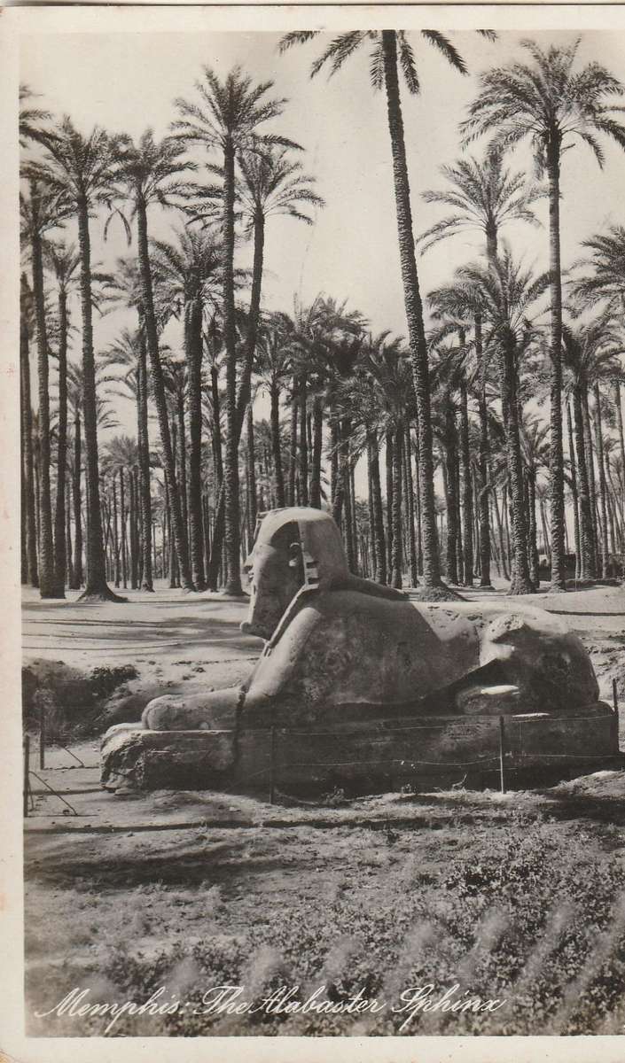 MINT POST CARD EGYPT