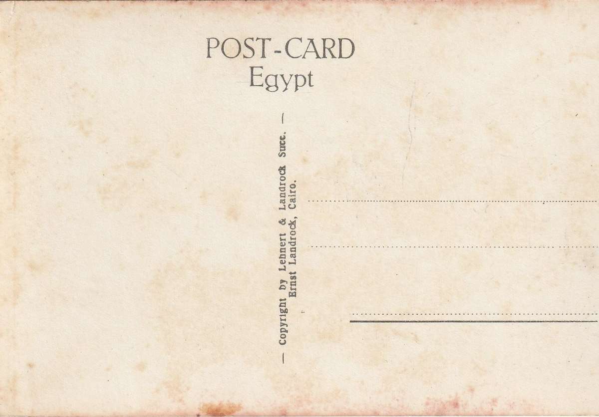 MINT POST CARD EGYPT