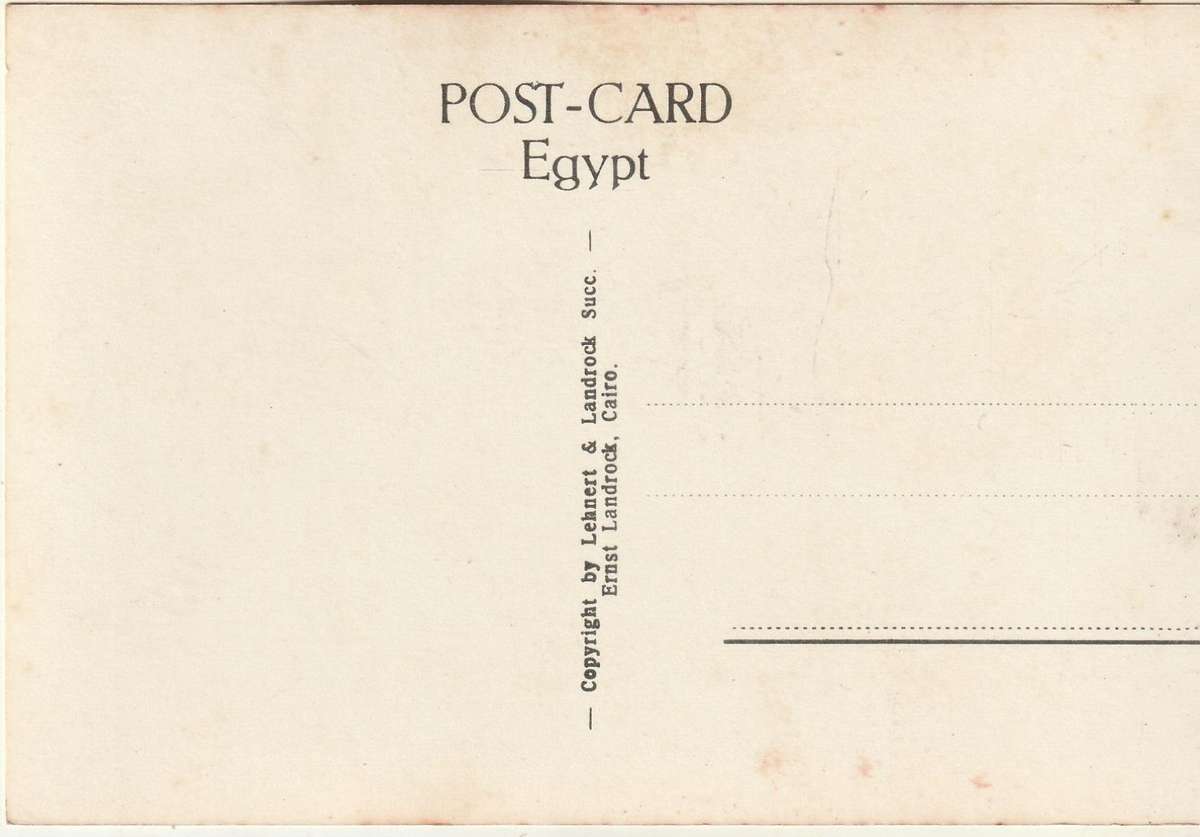 MINT POST CARD EGYPT