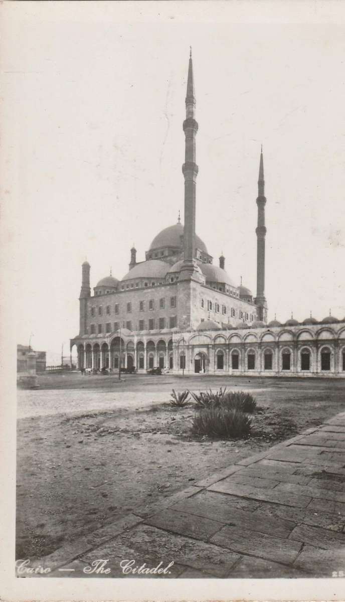 MINT POST CARD EGYPT