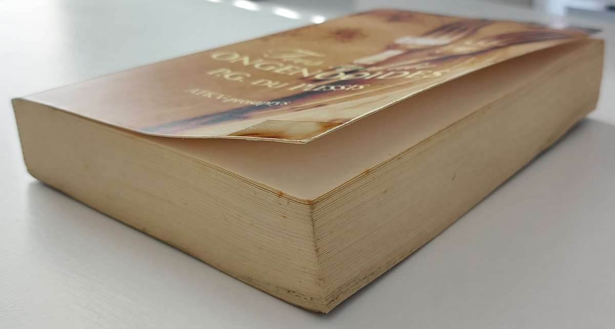 Fees van die Ongenooides - P.G. du Plessis (Paperback)