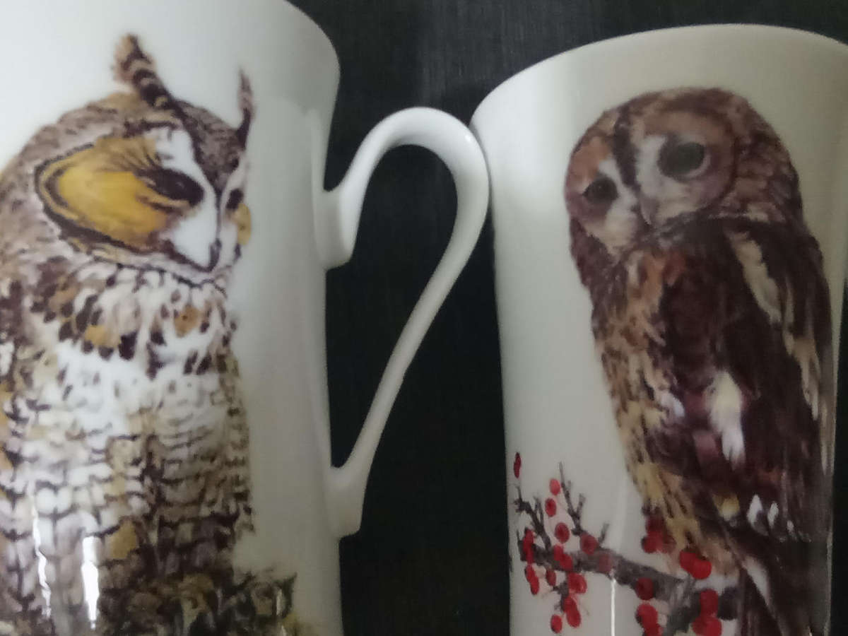 Ray Kirkham Protected Species..Latte mugs fine bone china x3 in excellent condition