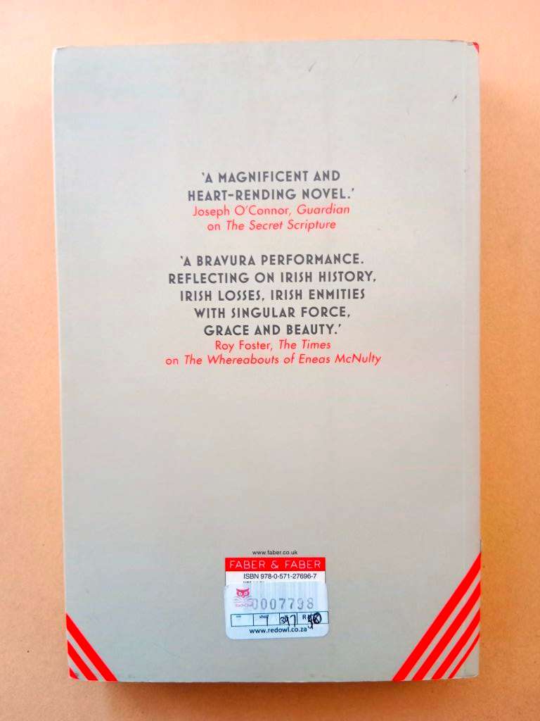 The Temporary Gentleman, Sebastian Barry