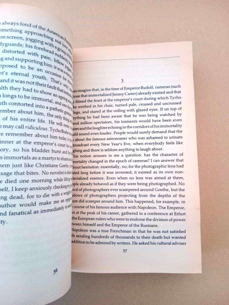 Immortality, Milan Kundera